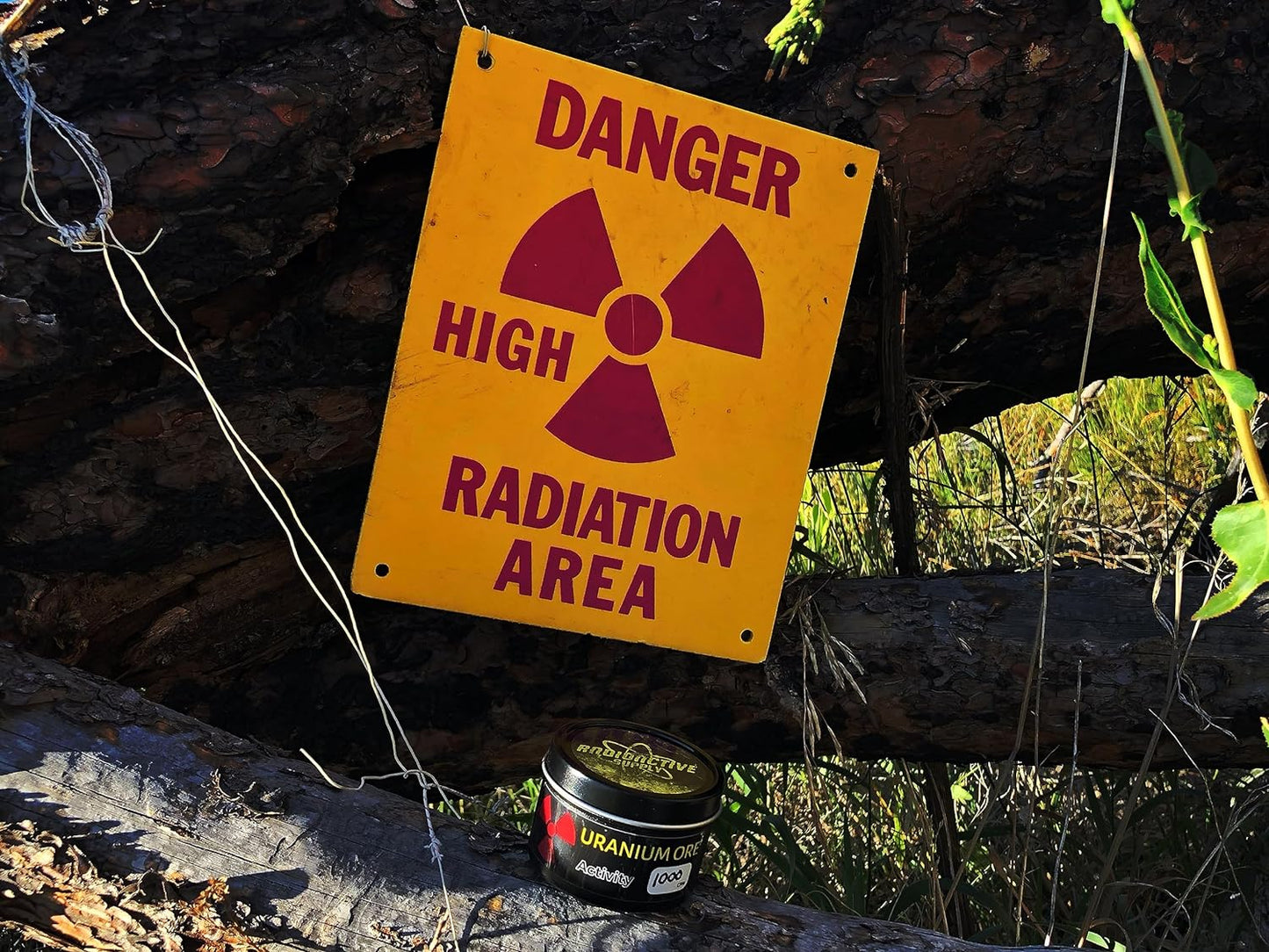Uranium Ore In Display Tin